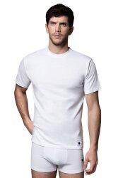 %100 Pamuklu 2'li Amerikan Yaka Kısa Kol T-shirt (1)