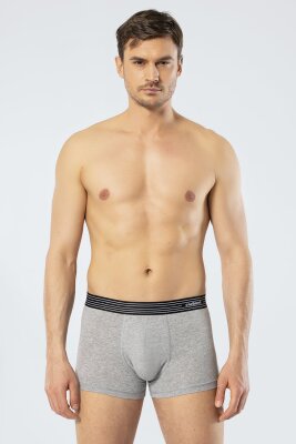 3 Adet Pamuklu Likralı Erkek Boxer, %95 Pamuk %5 Likralı - 7
