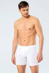 Cacharel Erkek Boxer, Bel Bantlı Uzun Boxer, %95 Pamuk %5 likralı - 6