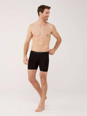 U.S. Polo Assn. - Erkek Büyük Beden 3'lü Uzun Paça Boxer, %95 Pamuk %5 Elastan (1)