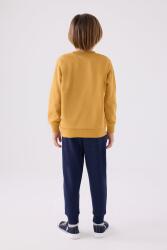 Erkek Çocuk 3 İplik Kışlık Alt Üst Takım - 8