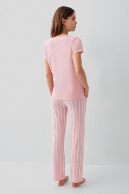 Pierre Cardin Kadın Kısa Kollu Pijama Takımı – %50 Modal %50 Pamuk, Çizgili Uzun Alt, Rahat Kalıp - 8