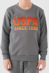 U.S. Polo Assn. 3 İplik İçi Şardonlu Kışlık Dar Paça Erkek Çocuk Takım - 4