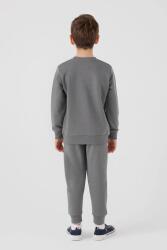 U.S. Polo Assn. 3 İplik İçi Şardonlu Kışlık Dar Paça Erkek Çocuk Takım - 5