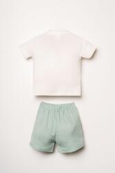 U.S. Polo Assn. Erkek Bebek %100 Pamuk Ribana T-Shirt Müslin Şort Takım Yazlık 2’li Set  - 8