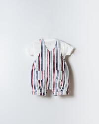 U.S. Polo Assn. Erkek Bebek Salopet Takım Çizgili Bahçıvan Tulum T-Shirt Set  - 3