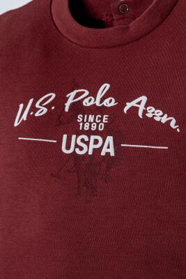 U.S. Polo Assn. Erkek Bebek T-Shirt Pantolon Takım - 2