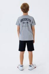 U.S. Polo Assn. Erkek Çocuk %100 Pamuk Bermuda Takımı – Yazlık Günlük Rahat Kesim - 8