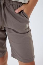 U.S. Polo Assn. Erkek Çocuk %100 Pamuk Bermuda Takımı – Yazlık Günlük Rahat Kesim - 4