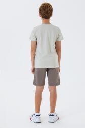 U.S. Polo Assn. Erkek Çocuk %100 Pamuk Bermuda Takımı – Yazlık Günlük Rahat Kesim - 3