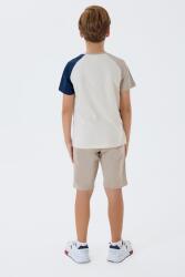U.S. Polo Assn Erkek Çocuk Şortlu Takım %100 Pamuk Yazlık Bisiklet Yaka Tişört & Bermuda Şort Takım - 4