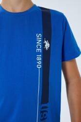 %100 Pamuklu Erkek Çocuk Bermuda ve T-shirt Alt Üst Takım - 5