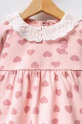 U.S. Polo Assn. Uzunkol %100 Pamuklu Kalpli Kız Bebek Elbise - 2