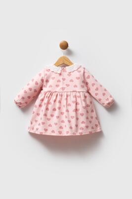 U.S. Polo Assn. Uzunkol %100 Pamuklu Kalpli Kız Bebek Elbise - 3