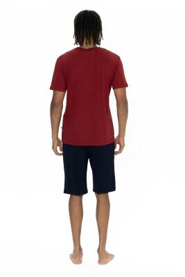 U.S. Polo Erkek T-shirt ve Cepli Şort Takım, Kısakol, Bisiklet Yaka, Cep Detaylı - 6