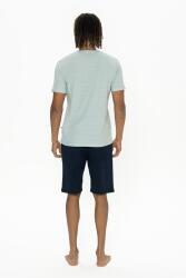 U.S. Polo Yazı Baskılı Erkek Kısakol T-shirt Ve Şort Takım - 5